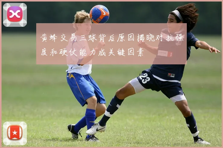 黄蜂交易三球背后原因揭晓对抗强度和硬仗能力成关键因素