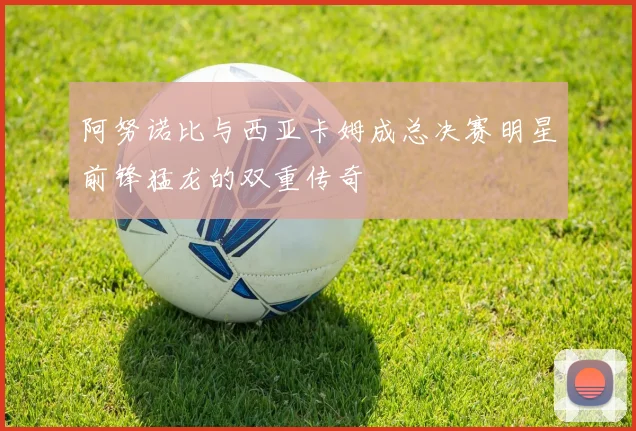 阿努诺比与西亚卡姆成总决赛明星前锋猛龙的双重传奇