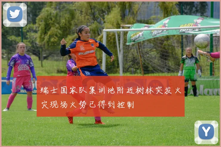 瑞士国家队集训地附近树林突发火灾现场火势已得到控制